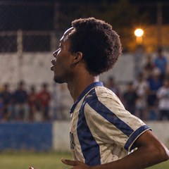 Mateo Vera, sample profile